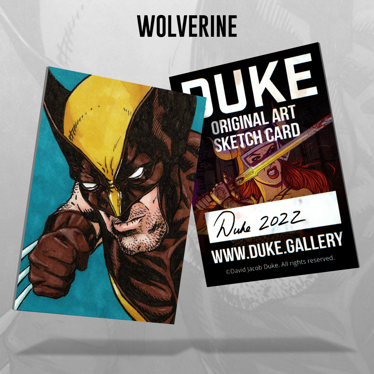 Wolverine Sketch Card by Duke