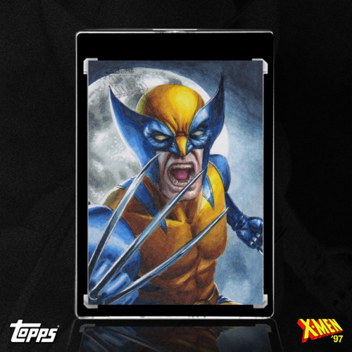 Wolverine Sketch Card by Duke