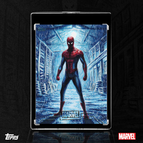 Spider-Man Sketch Card by Duke