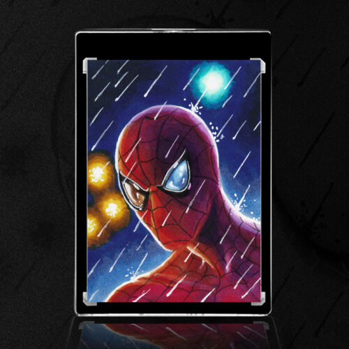 Spider-Man Sketch Card by Duke