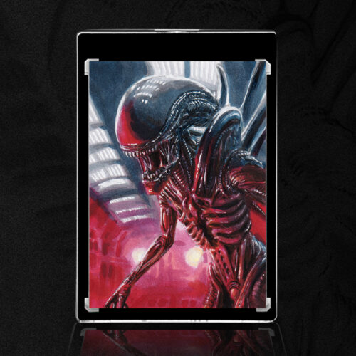 Xenomorph Sketch Card by Duke