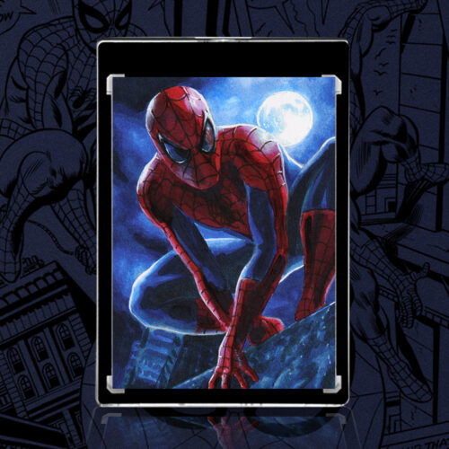 Spider-Man Sketch Card by Duke