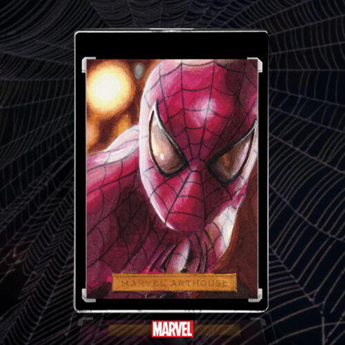 Spider-Man Sketch Card by Duke